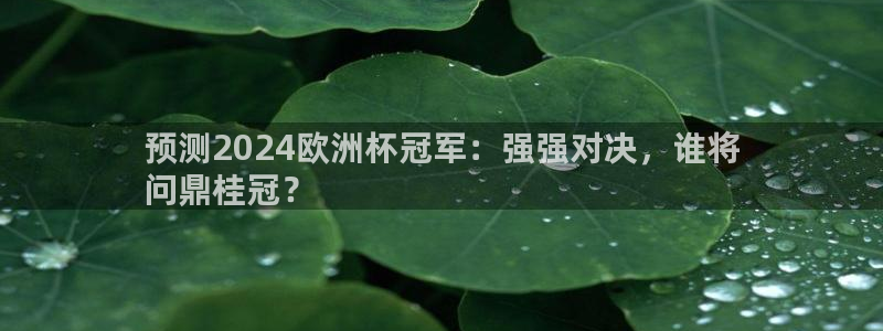 买足球平台哪个比较好