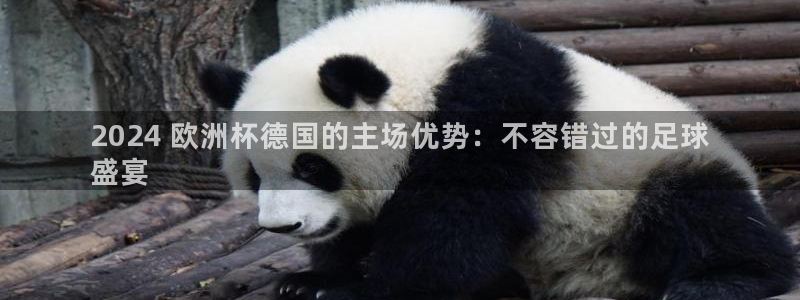 欧洲杯押注怎么买|2024 欧洲杯德国的主场优势：不容错过的足球
盛宴