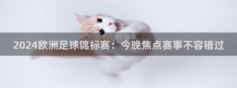 欧洲杯线上买球|2024欧洲足球锦标赛：今晚焦点赛事不容错过