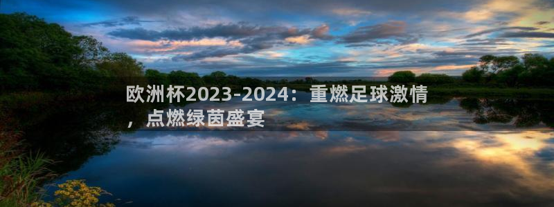 欧洲杯官网|欧洲杯2023-2024：重燃足球激情
，点燃绿茵盛宴