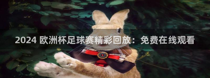 欧洲杯竞猜网站|2024 欧洲杯足球赛精彩回放：免费在线观看