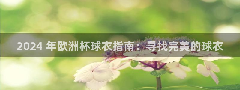 欧洲杯可以买冠亚军吗|2024 年欧洲杯球衣指南：寻找完美的球衣