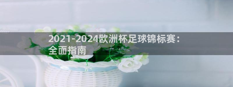欧洲杯可以买冠亚军吗|2021-2024欧洲杯足球锦标赛：
全面指南