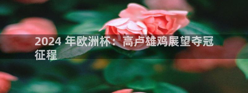 欧洲杯下单平台官网|2024 年欧洲杯：高卢雄鸡展望夺冠
征程