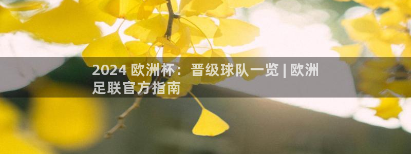 欧洲杯竞猜网站