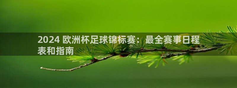 欧洲杯买足球软件有哪些