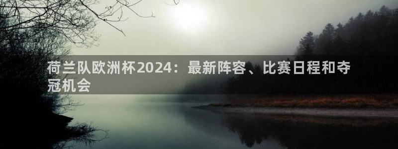 欧洲杯直播平台