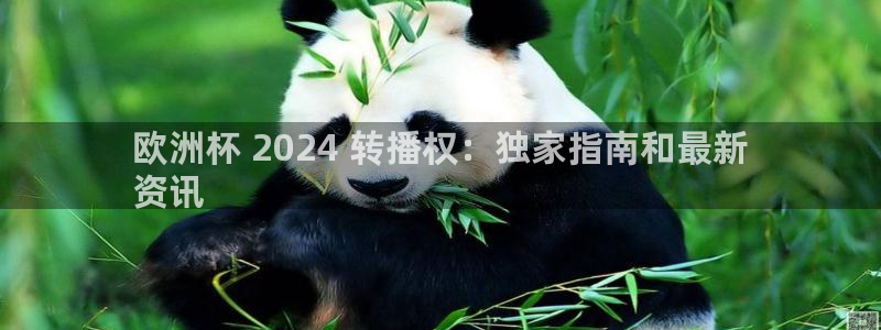 网上哪个平台可以买足球|欧洲杯 2024 转播权：独家指南和最新
资讯